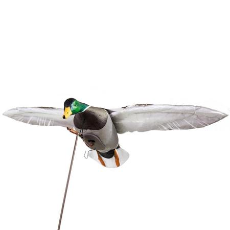 Higdon Clone Mallard Drake