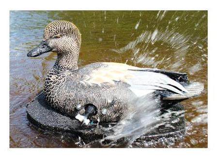 Wonderduck Magic Gadwall Drake