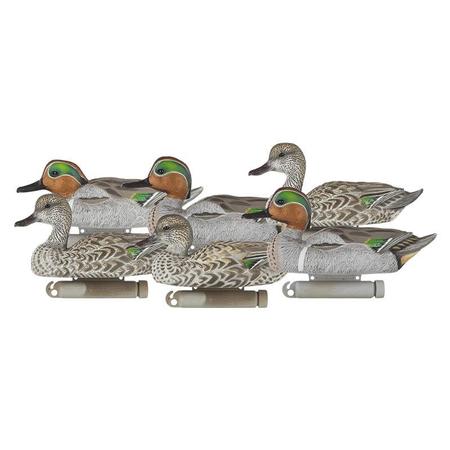 Dakota Decoy X-treme Greenwing Teal 6 PK.