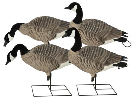 XD Series Full-Body Honkers   Harvester (4-Pack)