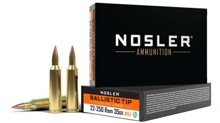 Nosler Ballistic Tip 61038