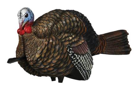 Avian-X Tom and Jake Turkey Decoys