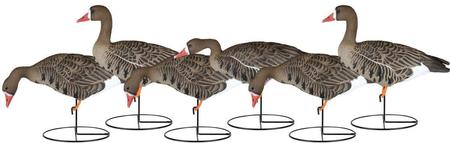 Dakota Decoy X-Treme Speck Whitefront Flocked 6 Pack