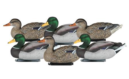 Dakota Decoy 6 Pack Packable Mallard Decoys (Flocked or Painted)