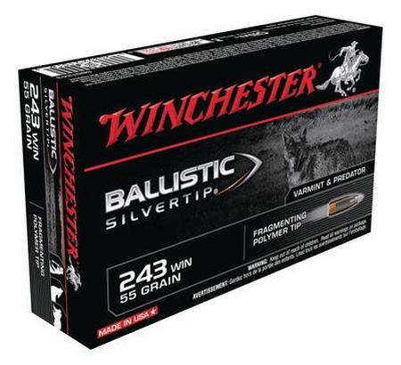 Winchester Ballistic Silvertip .243 Winchester 55 Grain BST | 20 Rounds