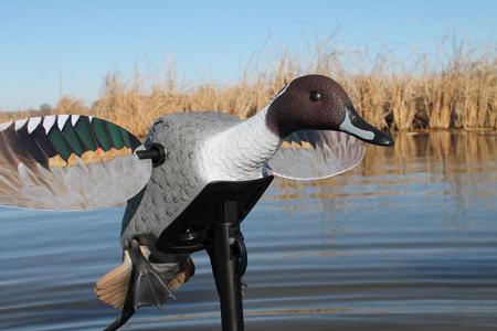 MOJO Elite Series Decoys - Multiple Species