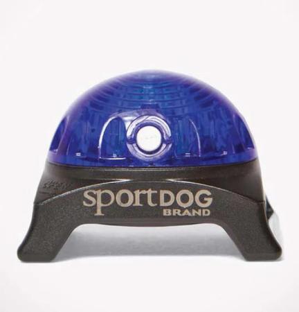 Sport Dog Beacon Collar - Blue