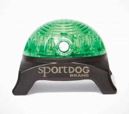 Sport Dog Beacon Collar - Green