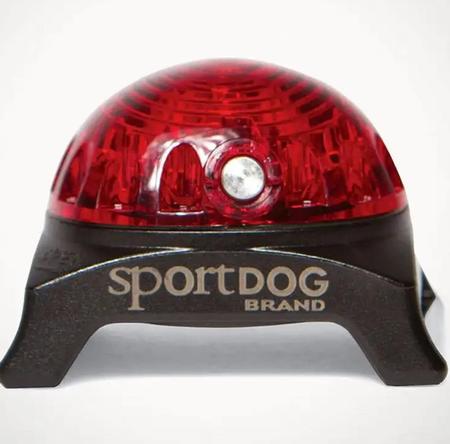 Sport Dog Beacon Collar - Red