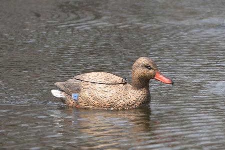 Real Decoy Natural Flutter