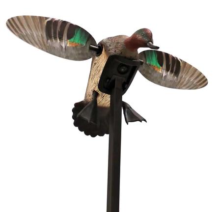 Mojo Outdoors Elite Series Green Winged Teal Duck Species Natural Molded Plastic Features Remote Compatible