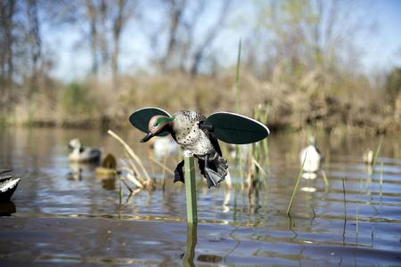 MOJO Spinning Wing Motion Green Wing Teal