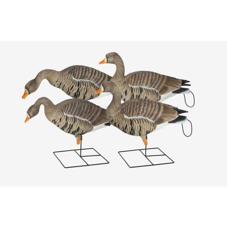 Avery Pro-Grade XD Full-body Harvester | Specklebelly Goose | 4 Pack