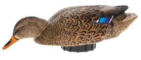 Avian X Power Shaker Surface Feeder | Mallard Hen