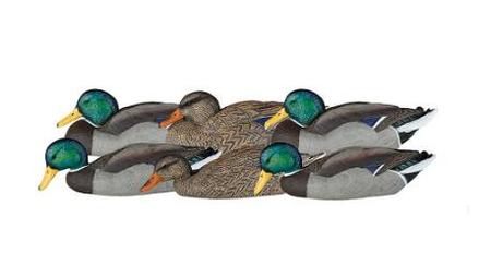 Dakota Decoy X-Treme Mallard Dabbler