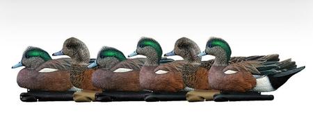 Avian X TopFlight Wigeon