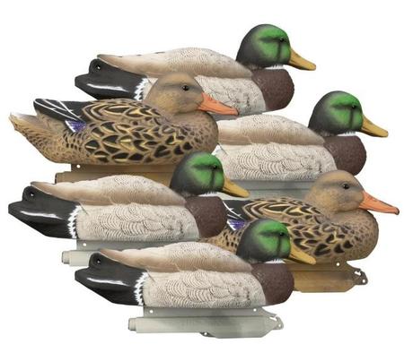 Higdon Filler Pack - Standard Size Mallard 6 Pack