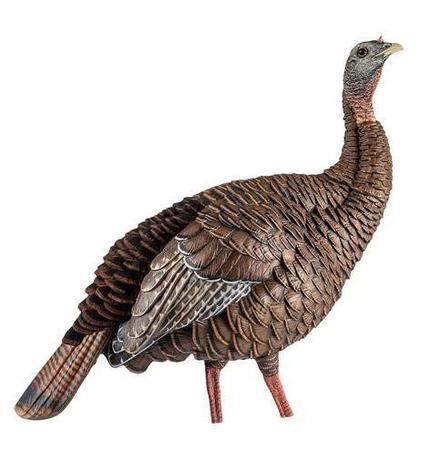 Avian-X HDR Hen Turkey Decoy