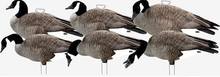 GHG FFD Slihouette Decoys - Canada Goose 6 Pack