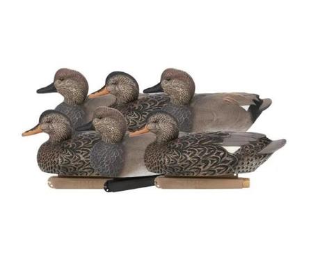 Zink Floater Hunter Series - Gadwall 6 Pack