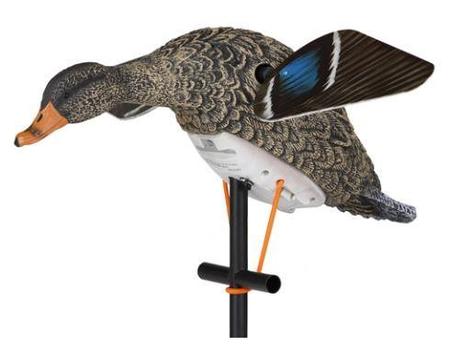 Lucky Duck HD HEN Decoy