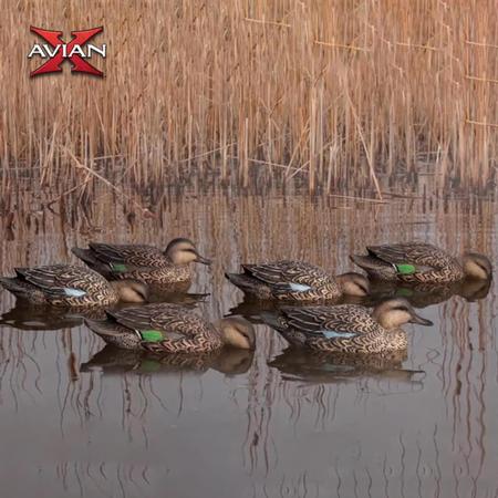 Avian X Top Flight Floating Early Season Teal