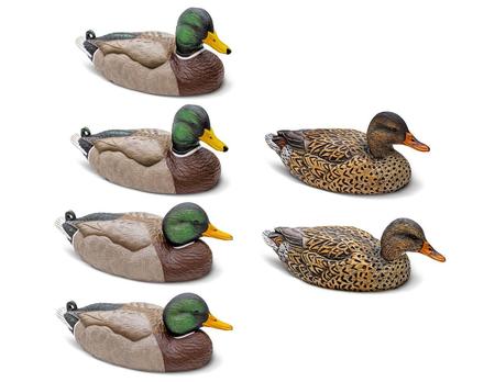 Rig 'Em Right Decoys Mallards 6 Pack