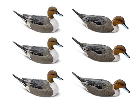 Rig 'Em Right Decoys Pintails 6 Pack