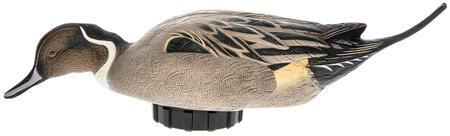 Avian X Power Shaker | Pintail Surface Feeder - Multi-Color