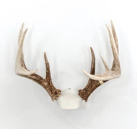 Wicked North Gear The Change Up Antler Display Kit