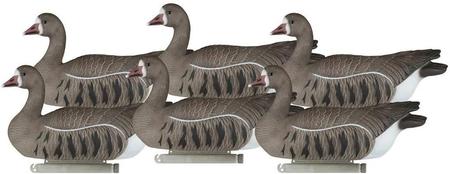 Dakota Decoy Whitefront Upright Floater 6 Pack