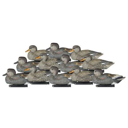 Dakota Decoy X-treme Gadwall 6 Pack