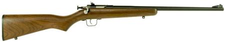 Crickett Youth 22 LR 16