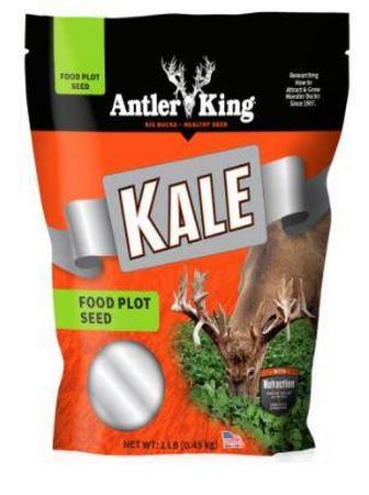 Antler King Kale